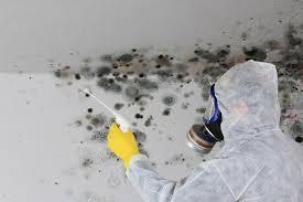 Best Industrial Mold Remediation  in Ridgemark, CA